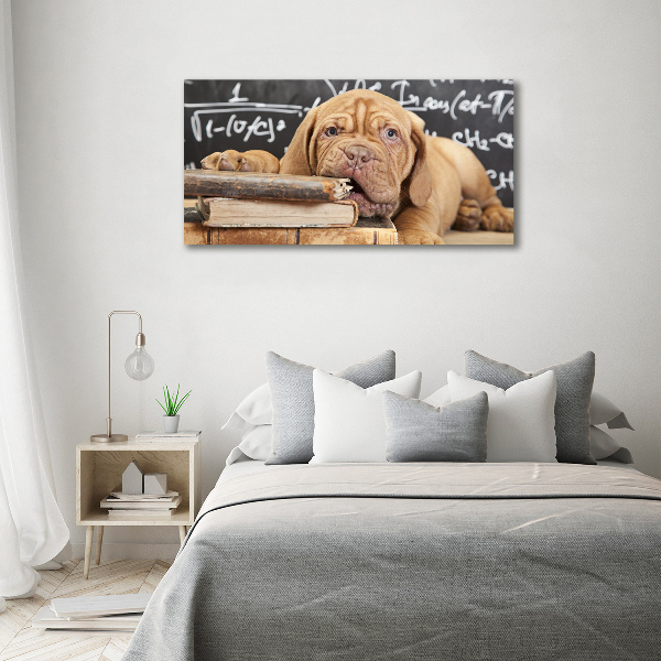 Canvas wall art The dog bites a book