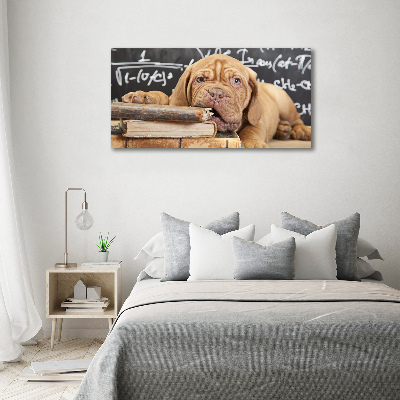 Canvas wall art The dog bites a book