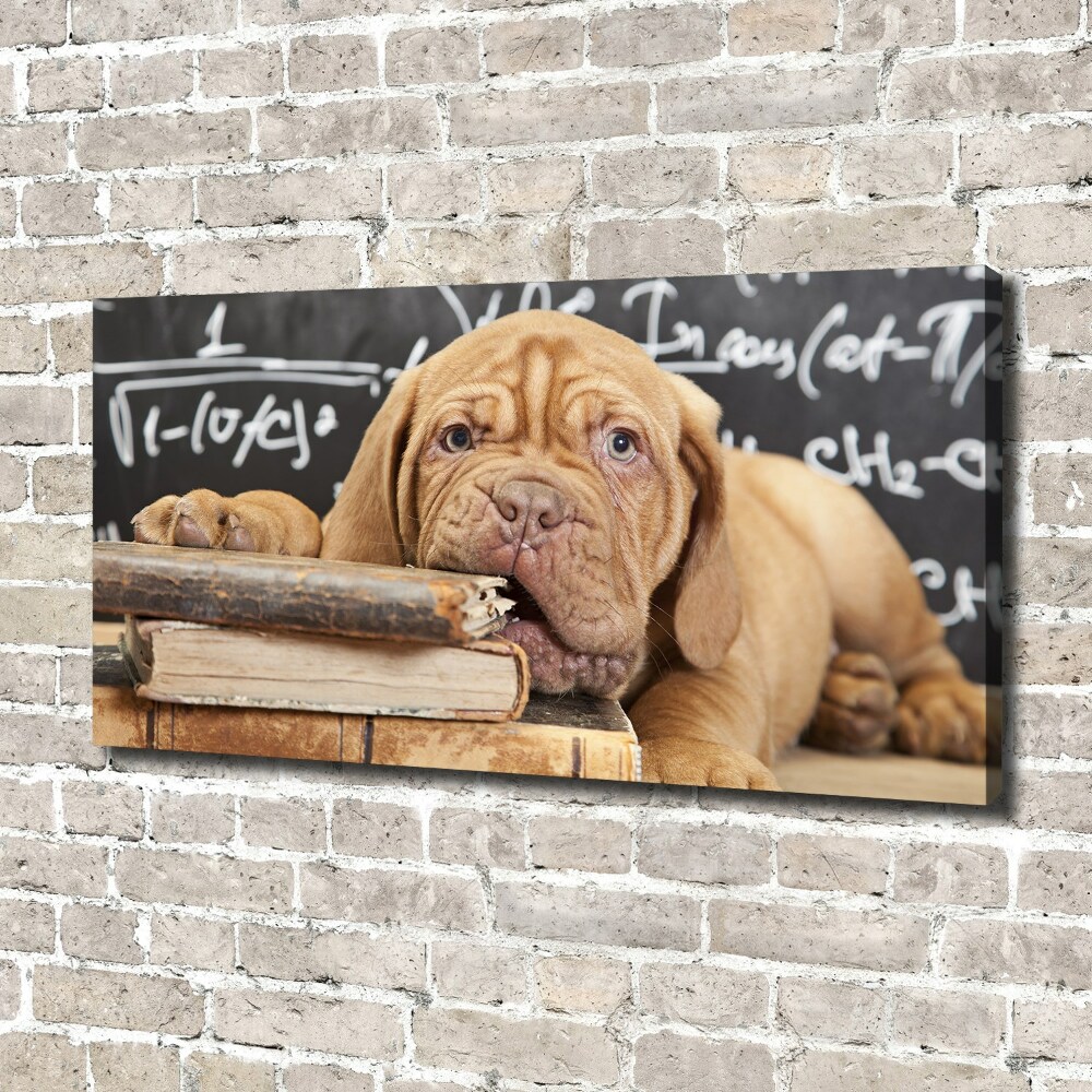 Canvas wall art The dog bites a book