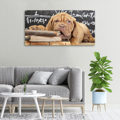 Canvas wall art The dog bites a book