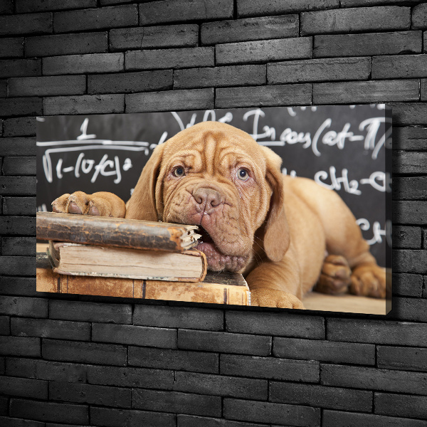 Canvas wall art The dog bites a book