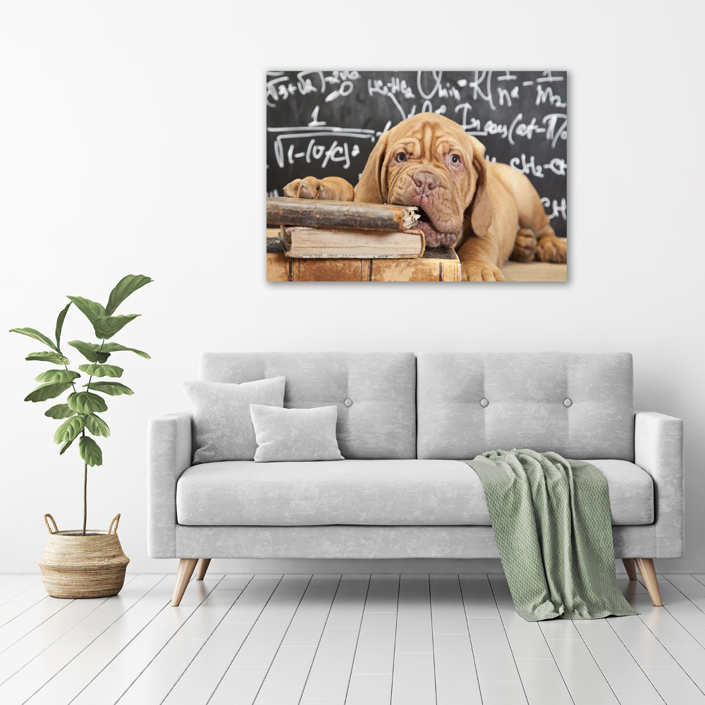 Canvas wall art The dog bites a book