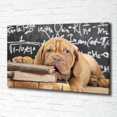 Canvas wall art The dog bites a book