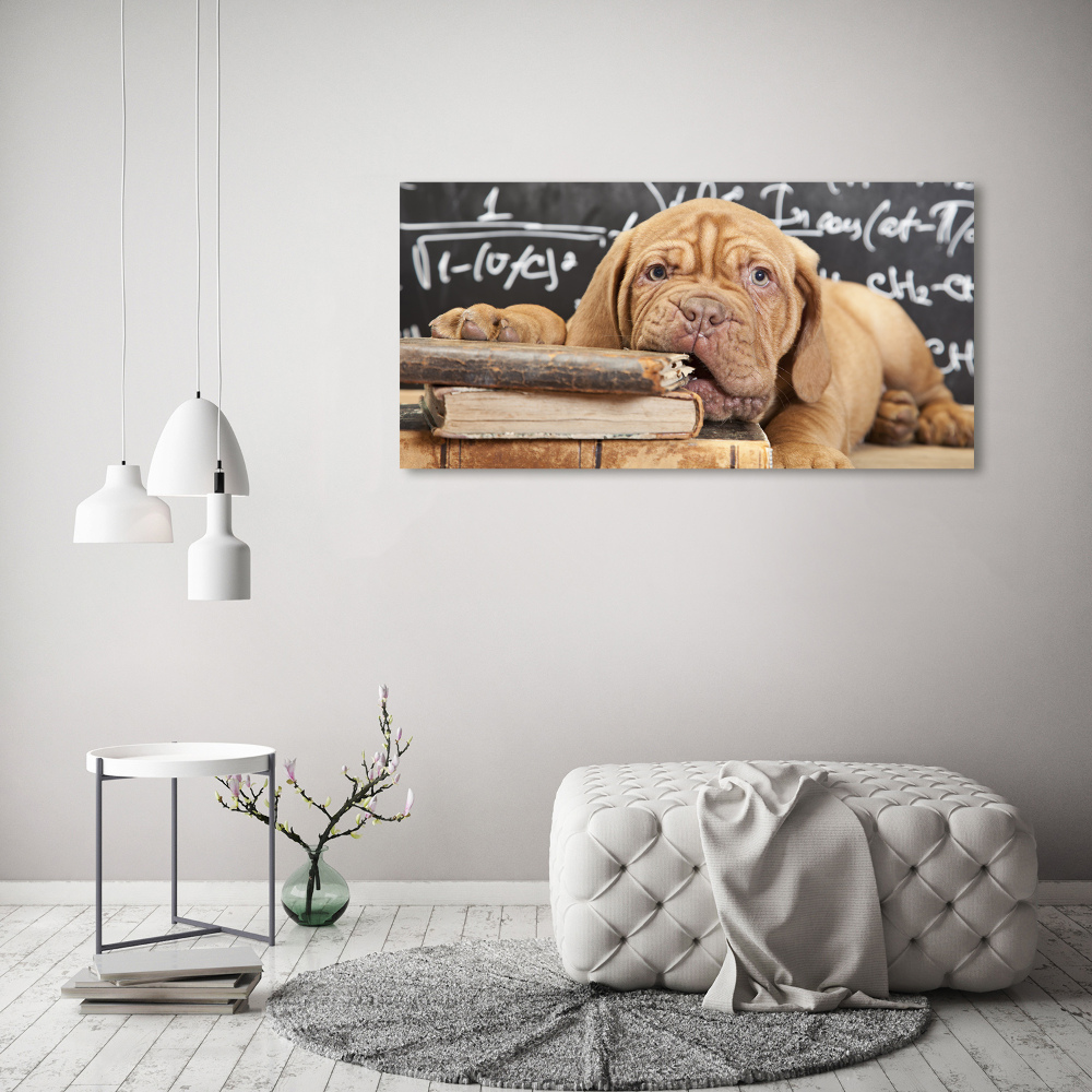 Canvas wall art The dog bites a book