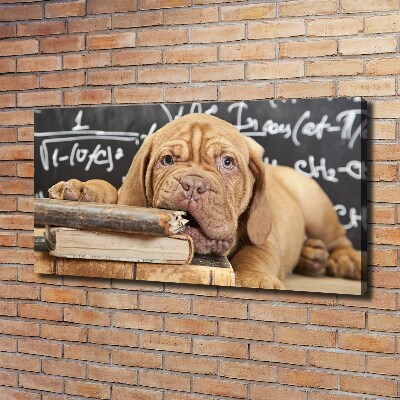 Canvas wall art The dog bites a book