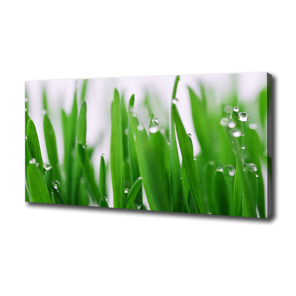 Canvas wall art Blade of grass