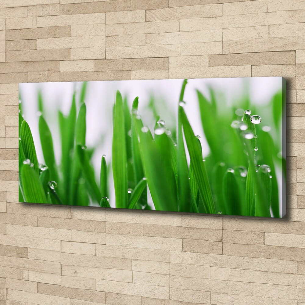 Canvas wall art Blade of grass