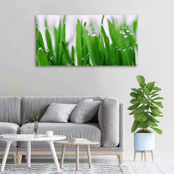 Canvas wall art Blade of grass