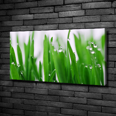 Canvas wall art Blade of grass