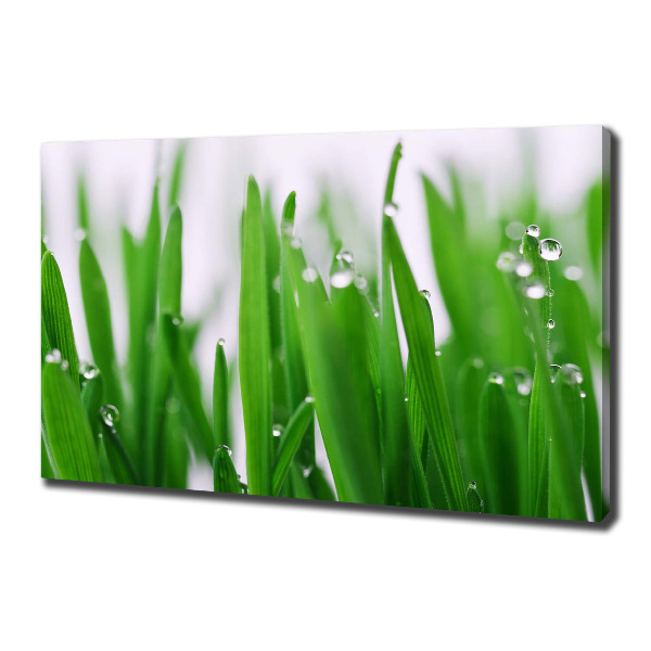 Canvas wall art Blade of grass