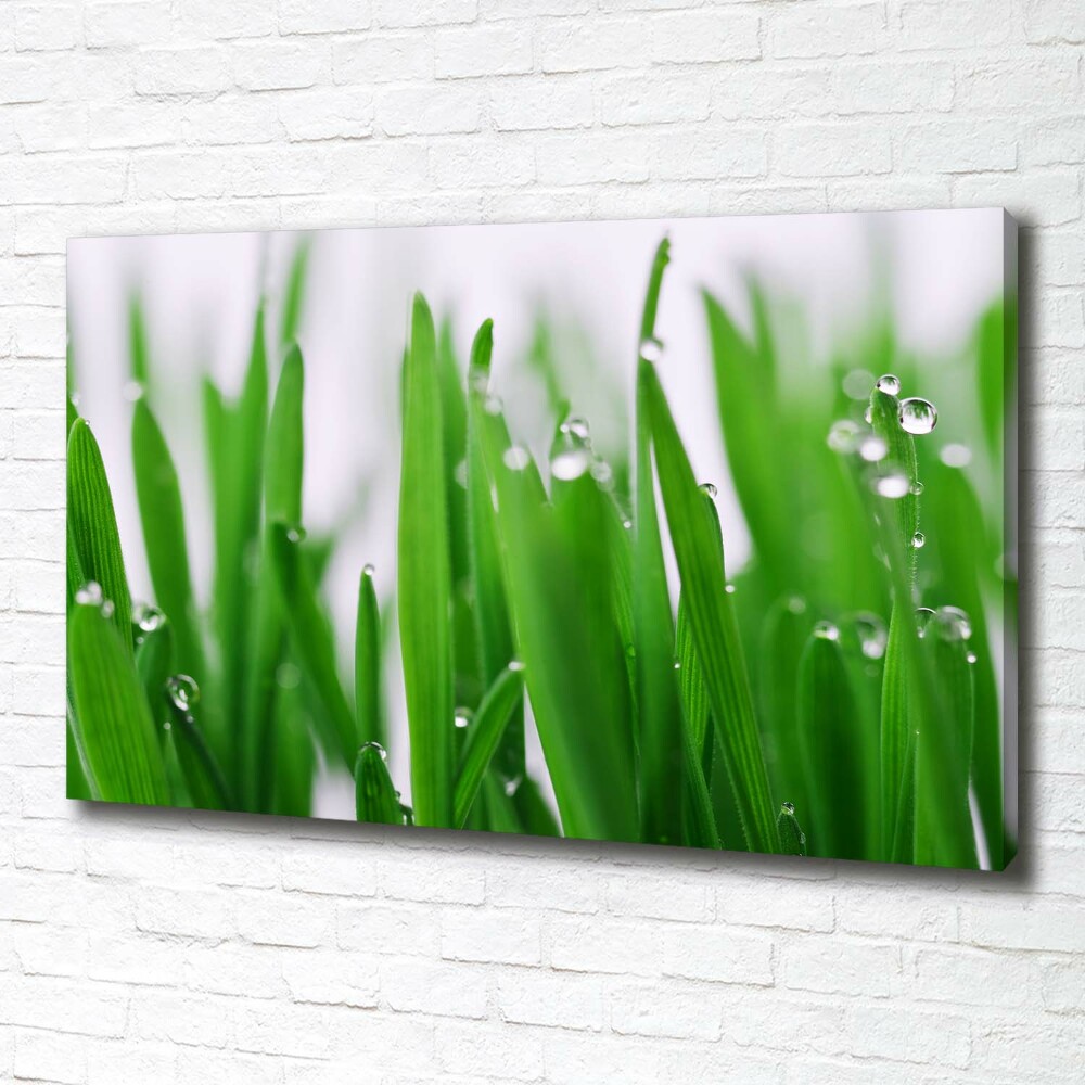 Canvas wall art Blade of grass