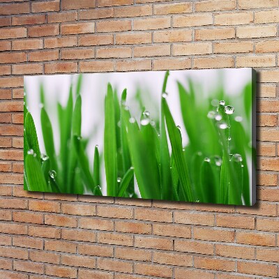 Canvas wall art Blade of grass