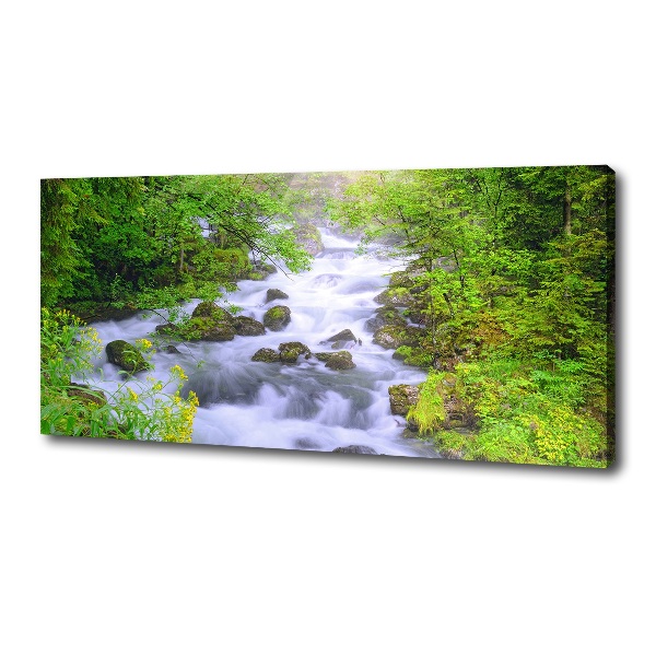 Canvas wall art Mountain river