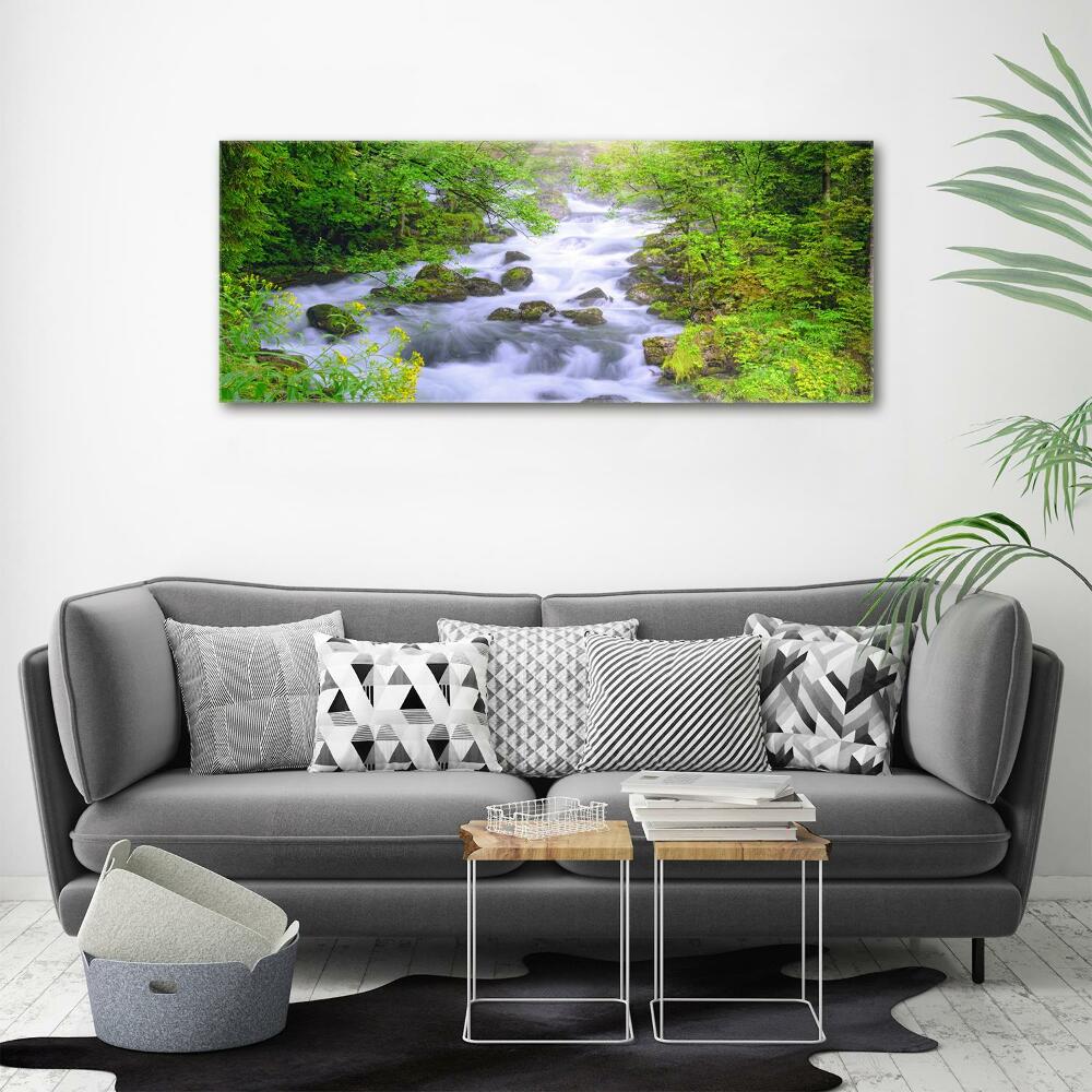 Canvas wall art Mountain river