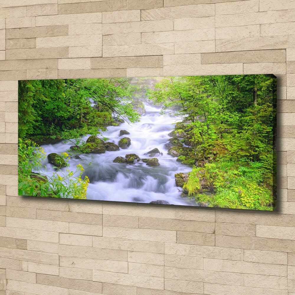 Canvas wall art Mountain river