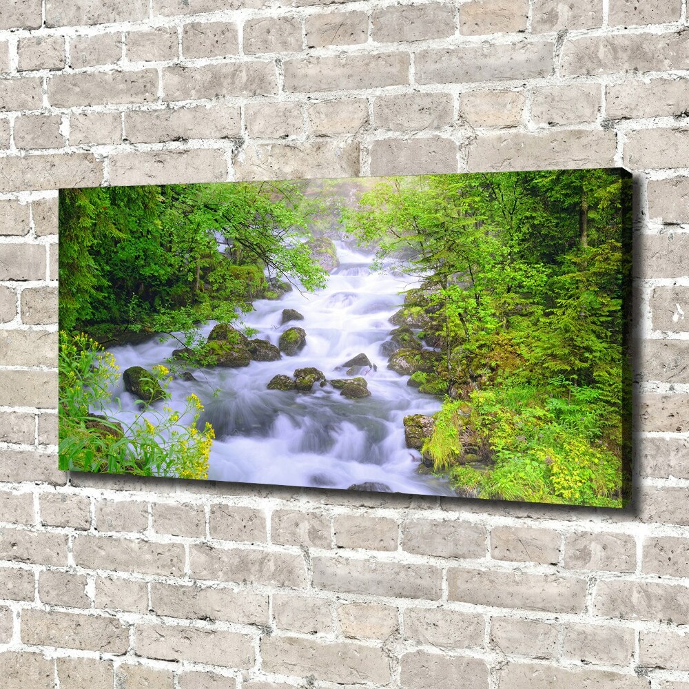 Canvas wall art Mountain river