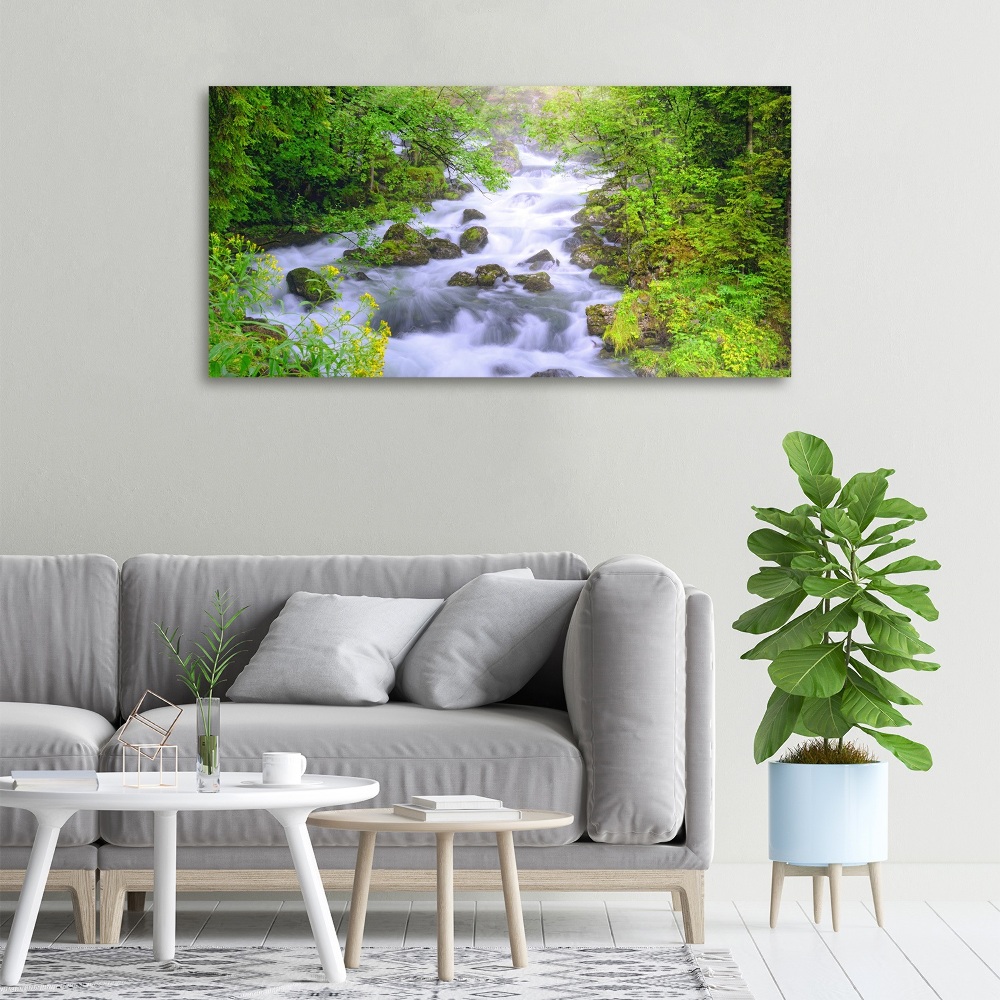 Canvas wall art Mountain river