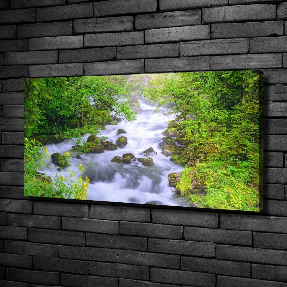 Canvas wall art Mountain river