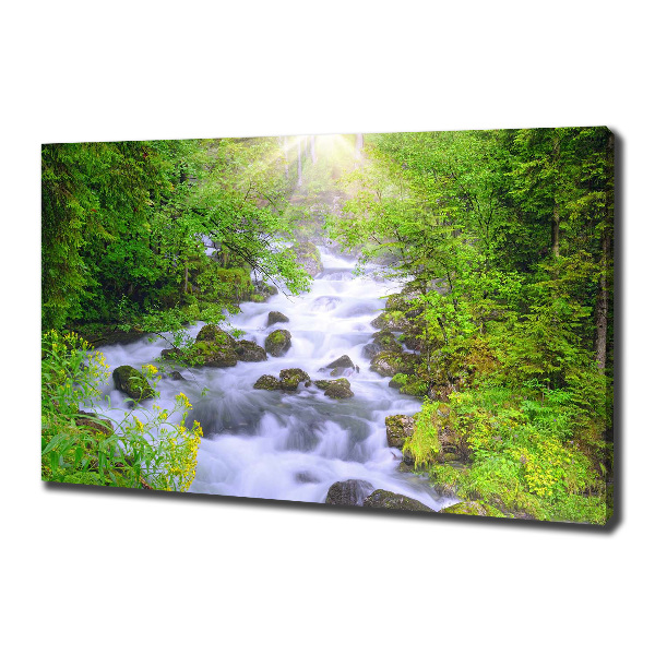 Canvas wall art Mountain river