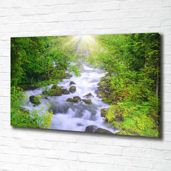 Canvas wall art Mountain river