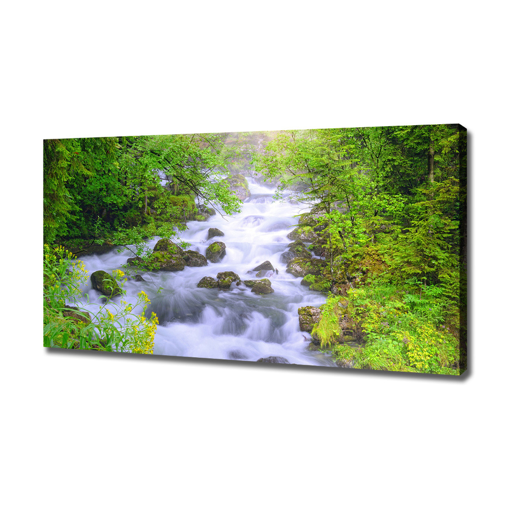 Canvas wall art Mountain river