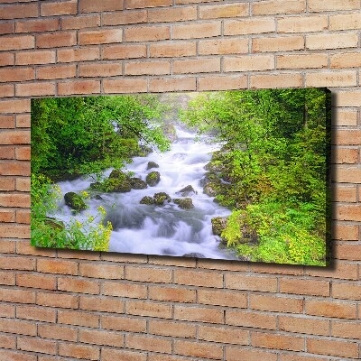 Canvas wall art Mountain river