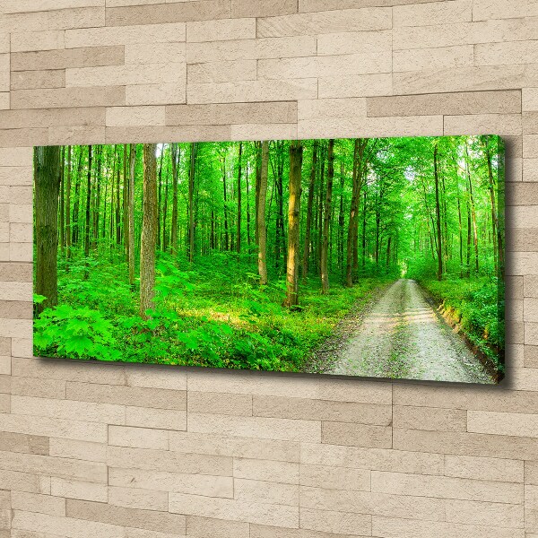 Canvas wall art Trees in the forest