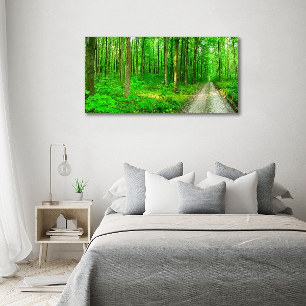 Canvas wall art Trees in the forest