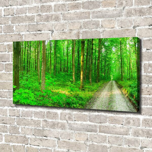 Canvas wall art Trees in the forest