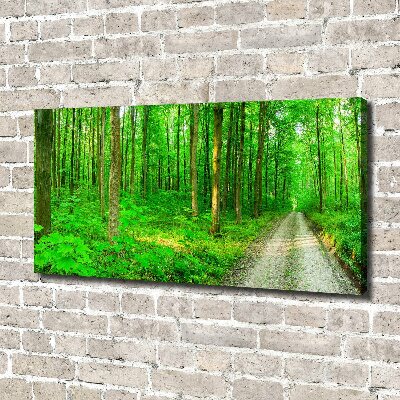 Canvas wall art Trees in the forest