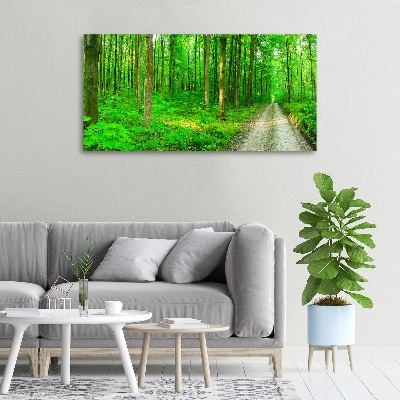 Canvas wall art Trees in the forest