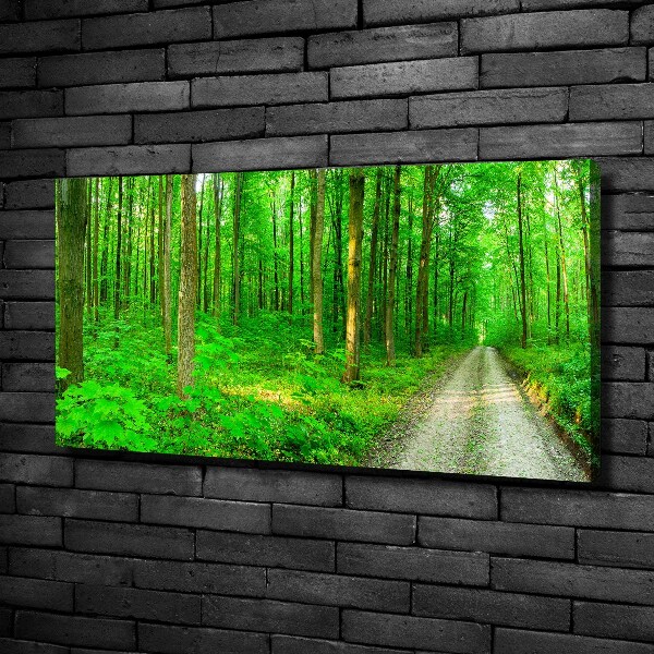 Canvas wall art Trees in the forest