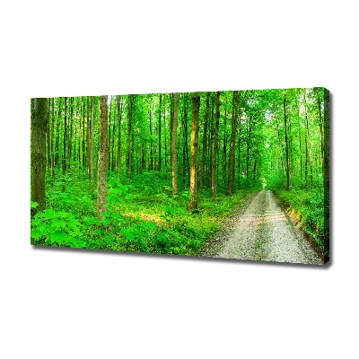 Canvas wall art Trees in the forest