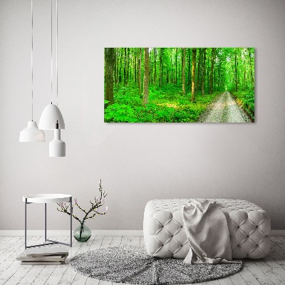 Canvas wall art Trees in the forest