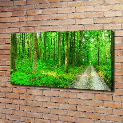 Canvas wall art Trees in the forest