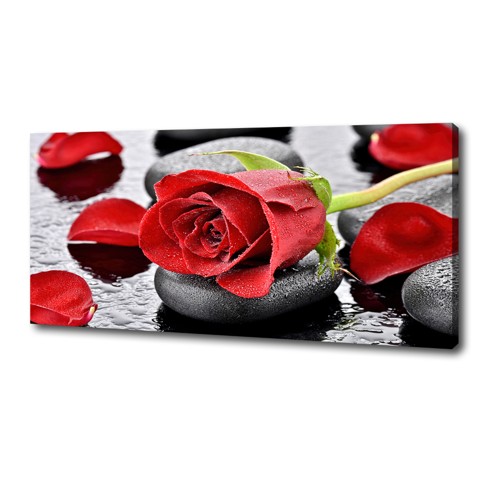 Canvas wall art Red rose