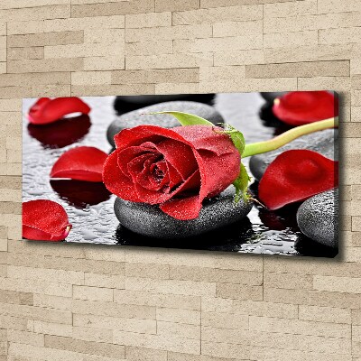 Canvas wall art Red rose