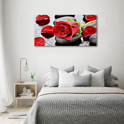 Canvas wall art Red rose