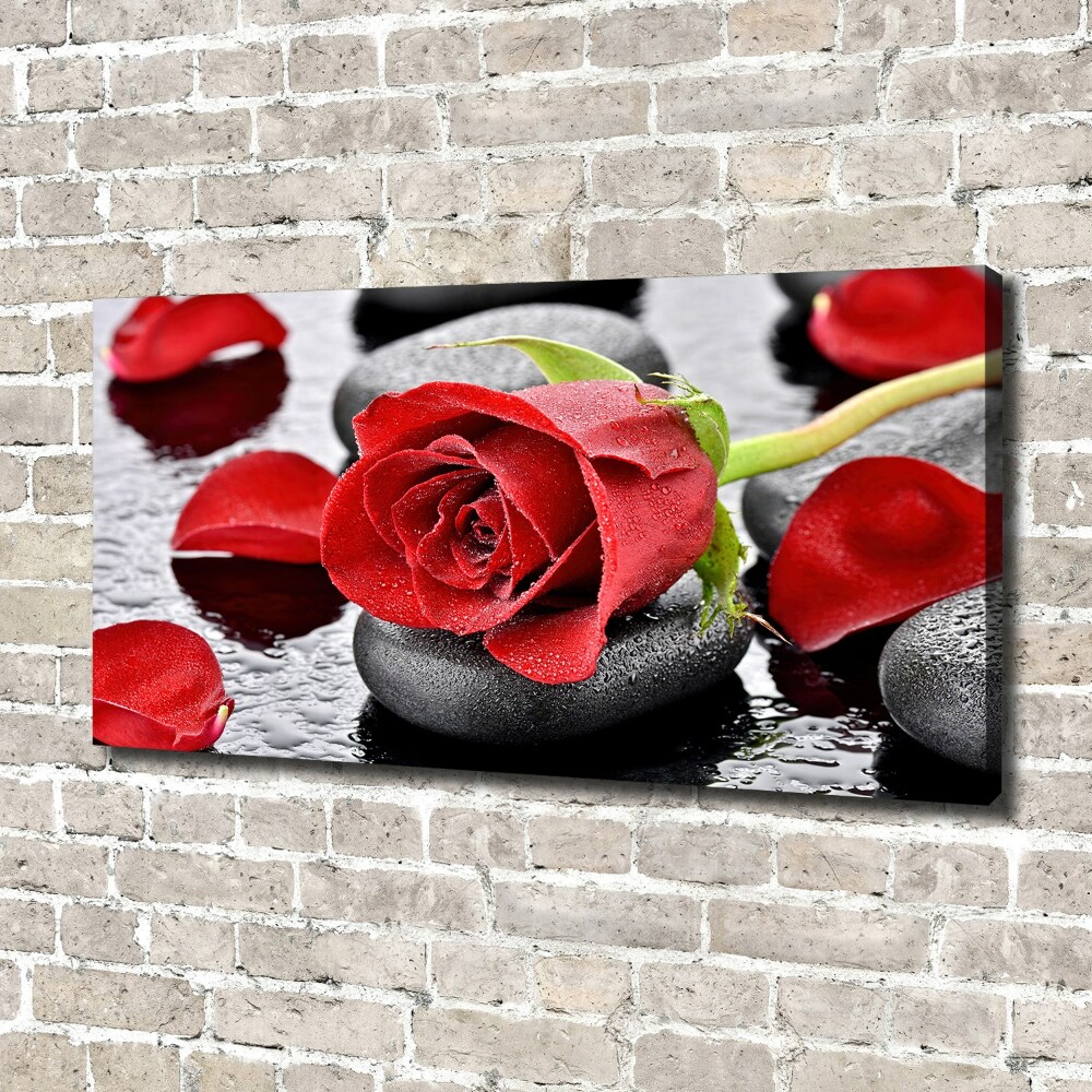 Canvas wall art Red rose