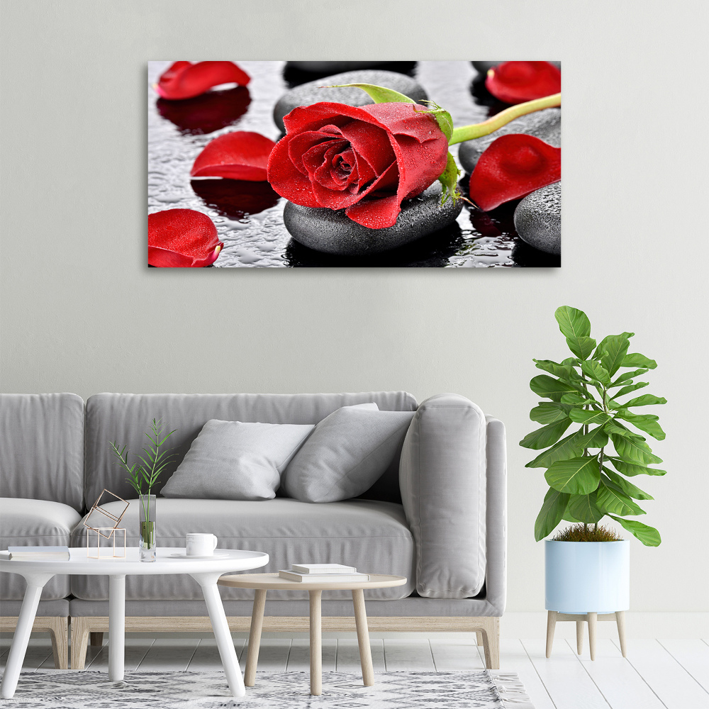 Canvas wall art Red rose