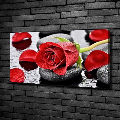 Canvas wall art Red rose