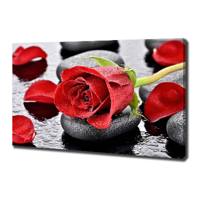 Canvas wall art Red rose