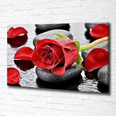 Canvas wall art Red rose