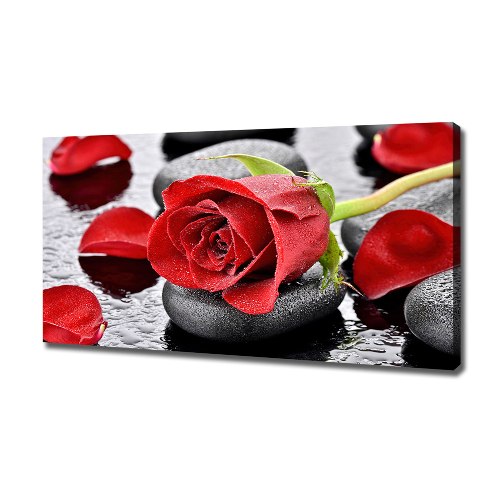 Canvas wall art Red rose