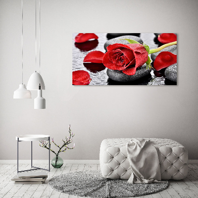 Canvas wall art Red rose