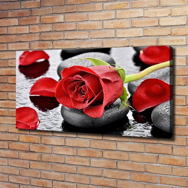 Canvas wall art Red rose