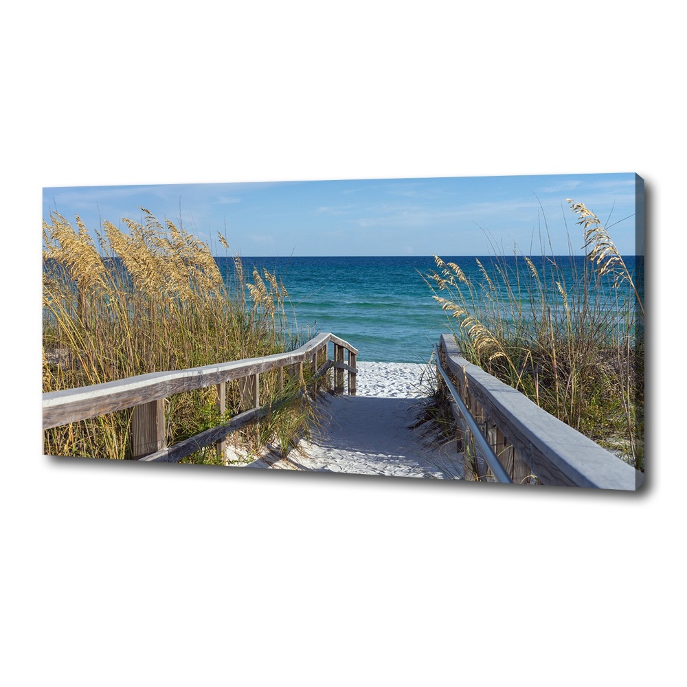 Canvas wall art Coastal dunes