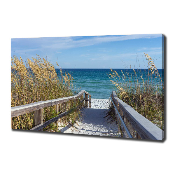 Canvas wall art Coastal dunes