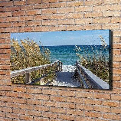 Canvas wall art Coastal dunes