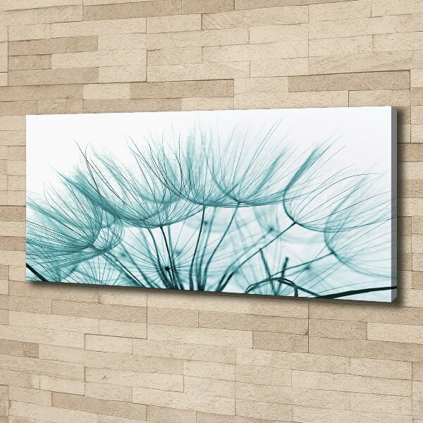 Canvas wall art Dandelion seeds